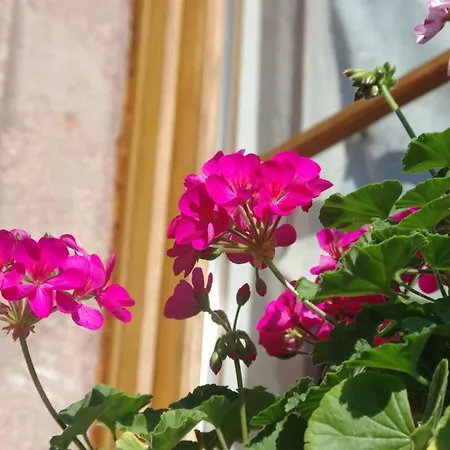 Meyer-liss Apartament