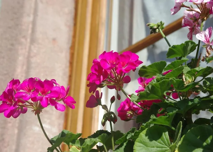 Meyer-liss Appartement